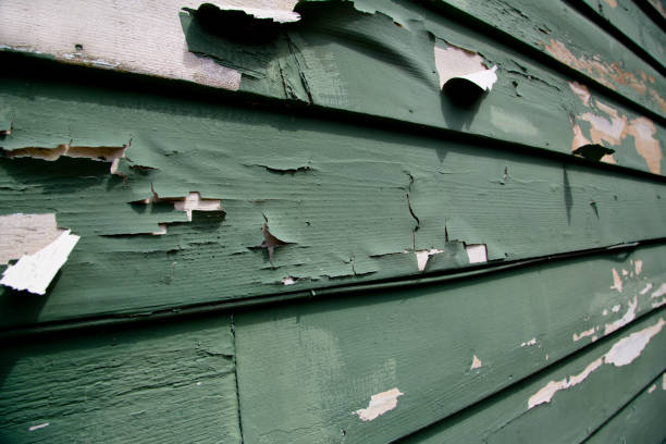 Best Electronics and E-Waste Disposal  in Mount Vernon, IN