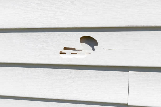 Best Foreclosure Cleanout  in Mount Vernon, IN