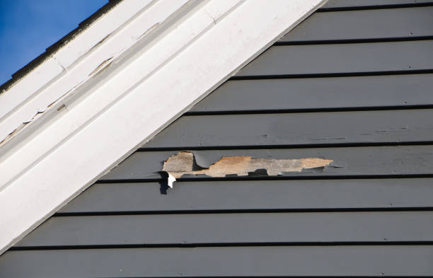 Best Hoarding Cleanup  in Mount Vernon, IN